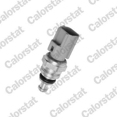 Датчик температури охолоджуючої рідини CITROEN/FORD/JAGUAR/LANDROVER/VOLVO Jumper/Mondeo/Transit/Rro Vernet WS3038 Ford Focus, Fusion, Ranger, Kuga — запчастина